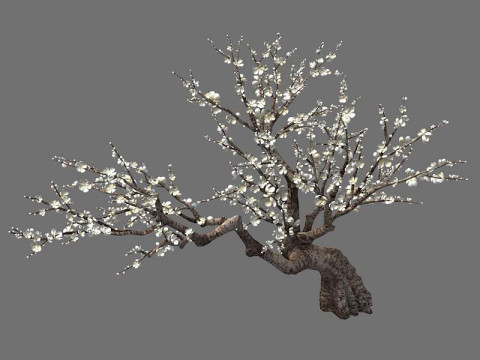 Peach Modello 3D