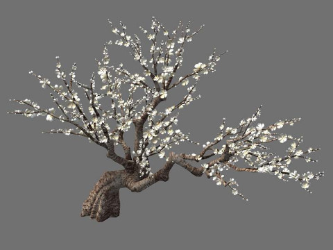 Peach Modello 3D