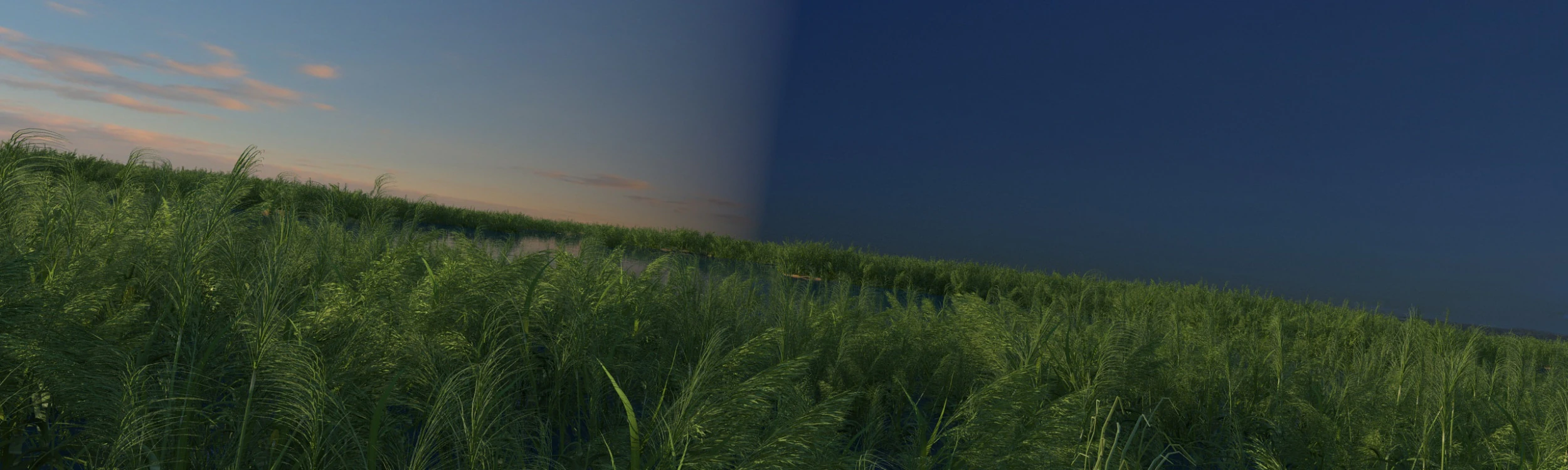 Wetland 3D Model .c4d .max .obj .3ds .fbx .stl .blend 