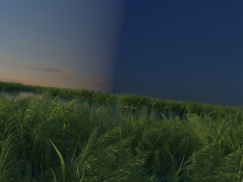 Wetland Modelo 3D