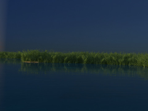Wetland Modelo 3D