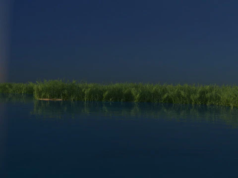Wetland 3D Model