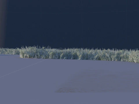 Wetland 3D Model