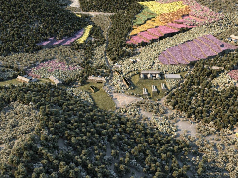 Garden 3D Model
