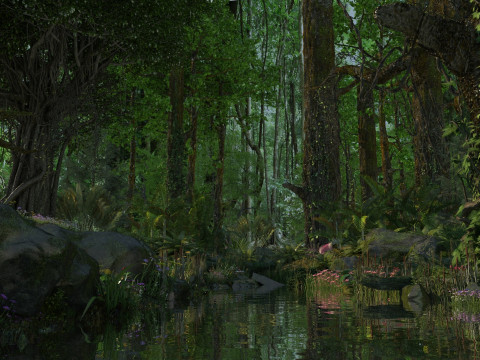 Rain forest 3D Model
