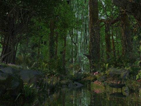 Rain forest 3D Model