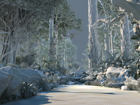 Rain forest 3D Model