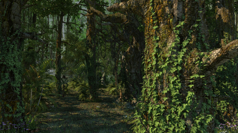 Rain forest 3D Модель .c4d .max .obj .3ds .fbx .stl .blend 