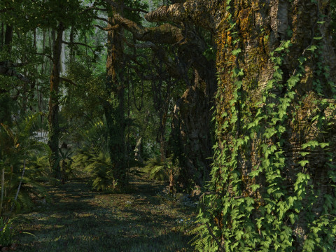 Rain forest 3Dモデル
