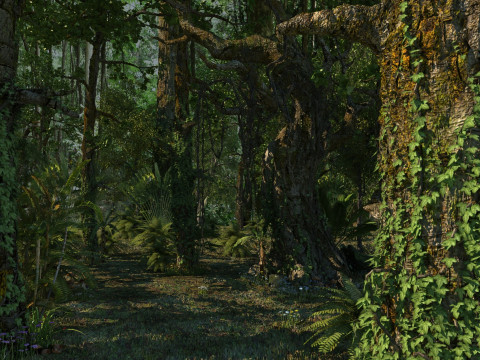 Rain forest 3D Модель