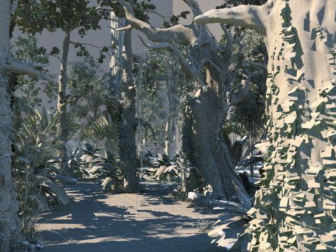 Rain forest 3D Модель