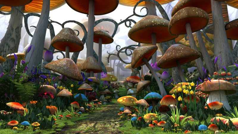 Sewant mushrooms 3D 모델 .c4d .max .obj .3ds .fbx .stl .blend 