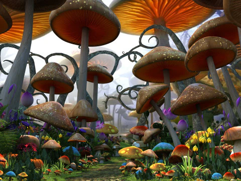 Sewant mushrooms 3D Model