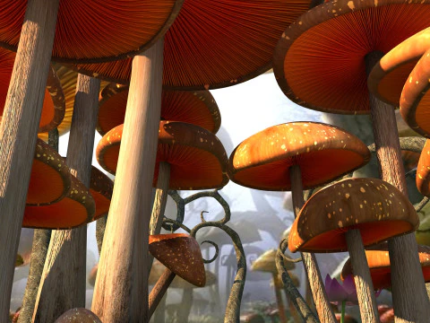 Sewant mushrooms 3D Model
