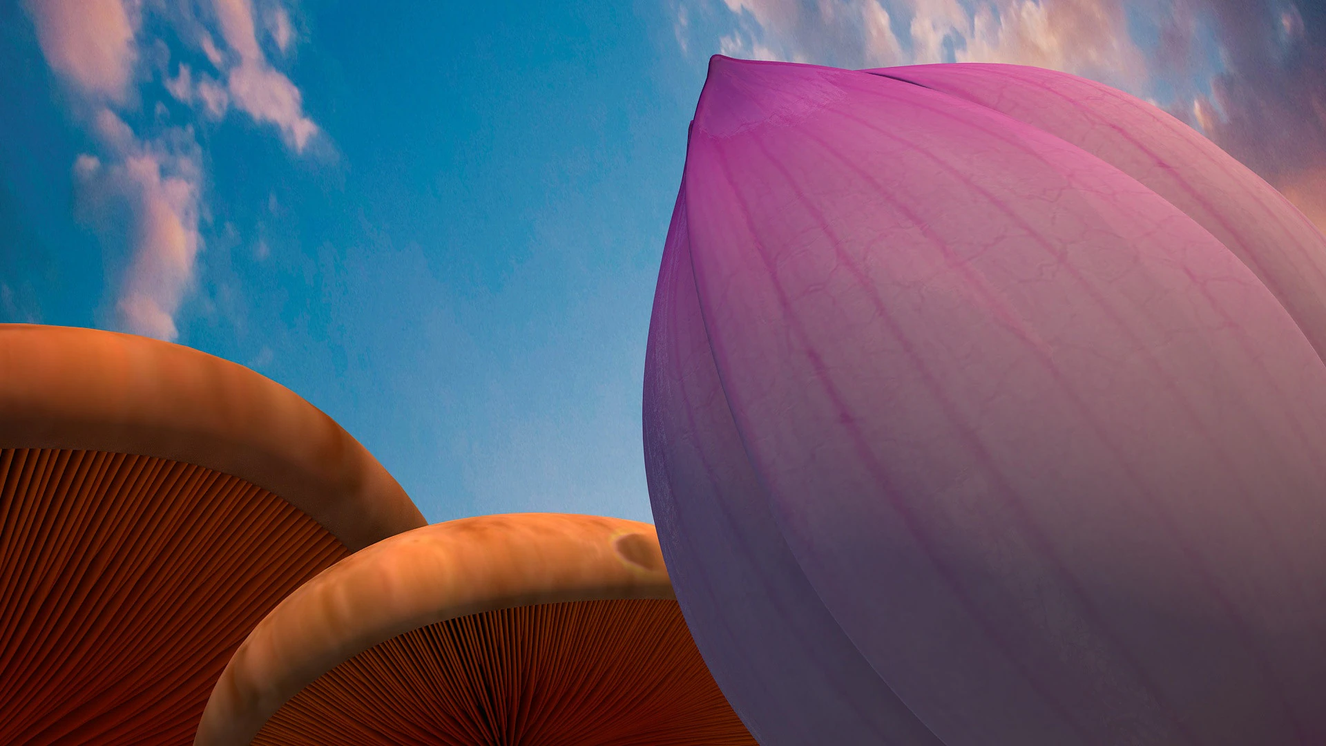 Lotus 3D Model .c4d .max .obj .3ds .fbx .stl .blend 