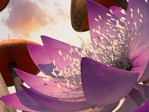 Lotus 3D Model