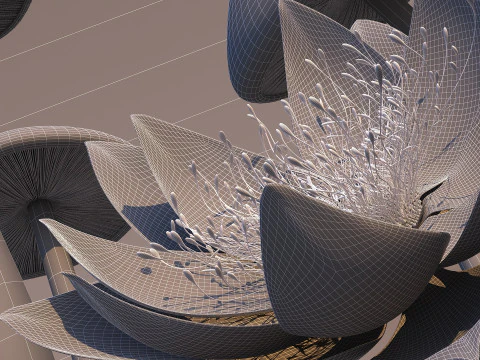 Lotus 3D Model