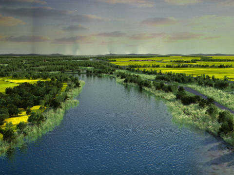 Cropland 3D Модель