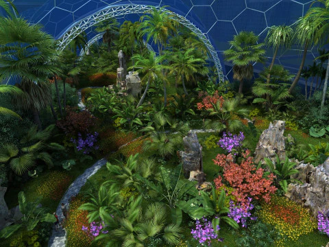 Tropical rainforest 3D Model