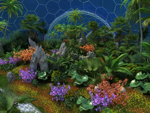 Tropical rainforest Model 3D