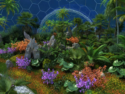 Tropical rainforest 3D Model