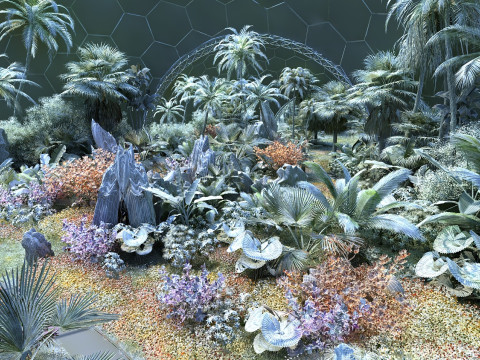 Tropical rainforest Model 3D