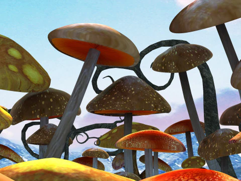 Sewant mushrooms 3D Model