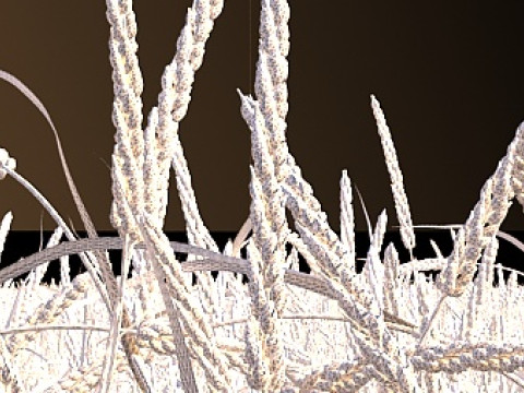 Cornfield 3D 모델