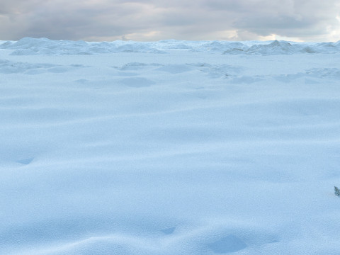 Snowy mountain 3D Model