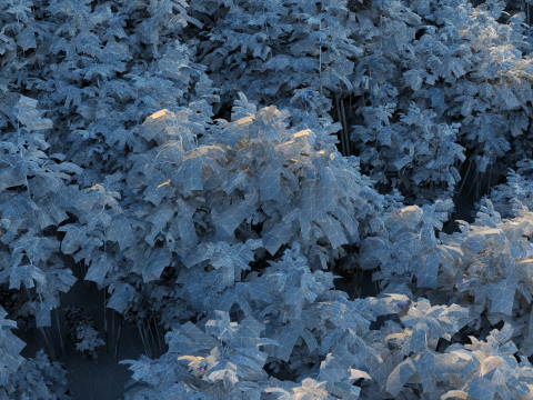 Bamboo grove Modelo 3D