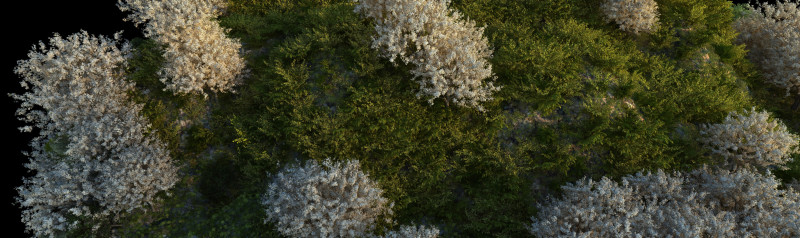 Mountain 3D 모델 .c4d .max .obj .3ds .fbx .stl .blend 