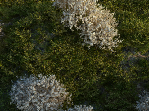 Mountain 3D-Modell