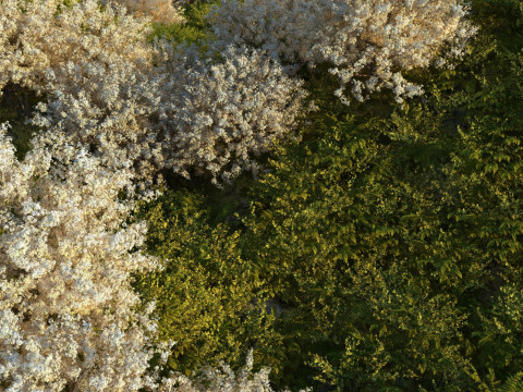 Mountain 3D 모델