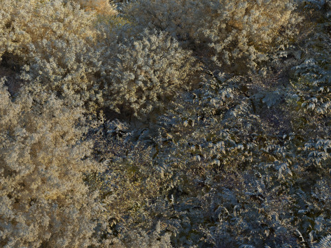 Mountain 3D 모델