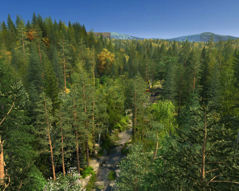Forest 3Dモデル .c4d .max .obj .3ds .fbx .stl .blend 