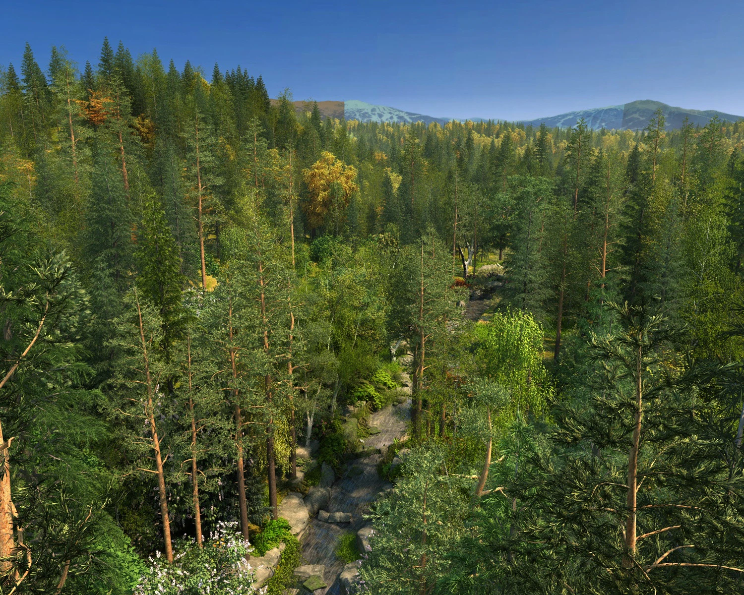 Forest 3D Model .c4d .max .obj .3ds .fbx .stl .blend 