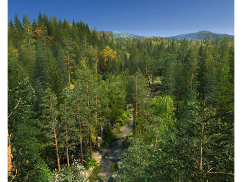 Forest 3D-Modell