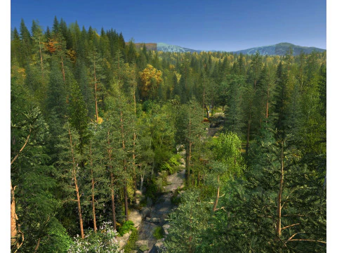 जंगल 3D मॉडल