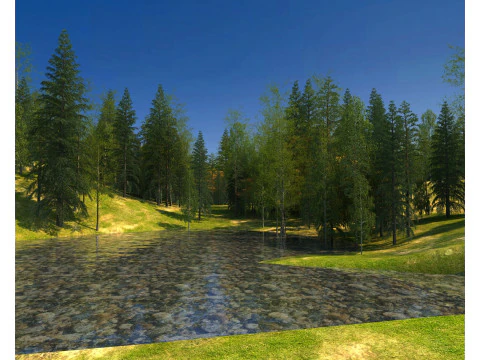 Forest 3D Model