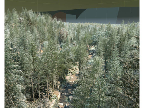 Forest 3D Model