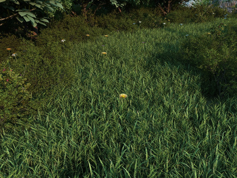 The river front 3Dモデル