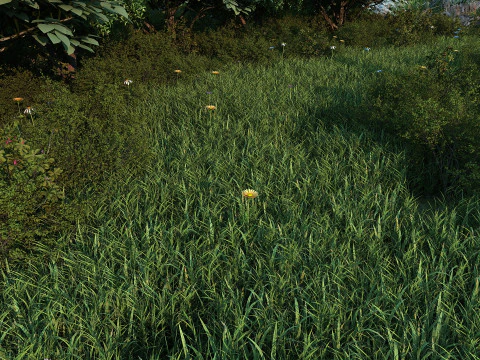 The river front 3D Model