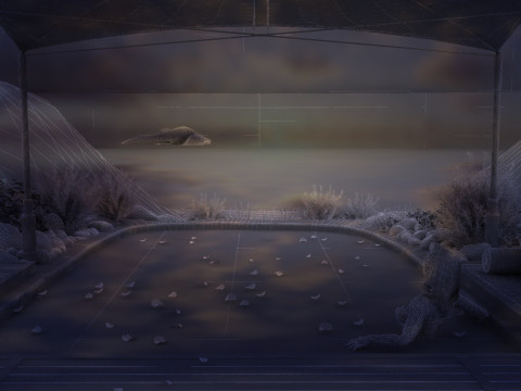 Hot spring Model 3D