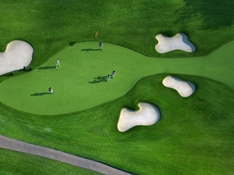 Play golf 3D 模型