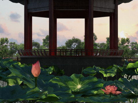 Lotus pond 3D Model