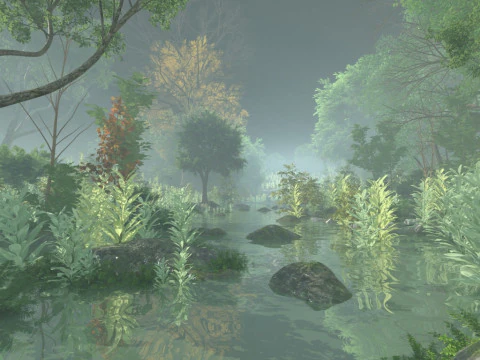 Floresta tropical Modelo 3D