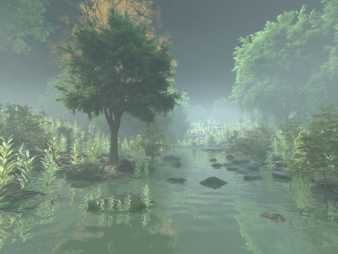 Rain forest Modelo 3D
