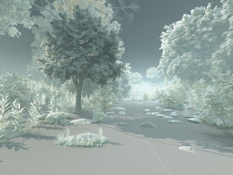 Rain forest Modelo 3D