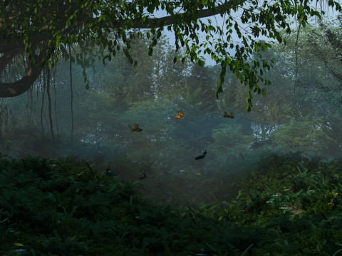 Rain forest 3D Model