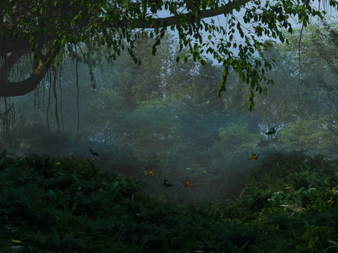 Rain forest 3D Model